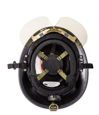 LION American Honor Helmets - StarfieldLION