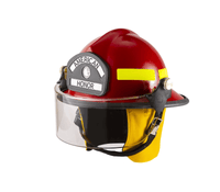 LION American Honor Helmets - StarfieldLION